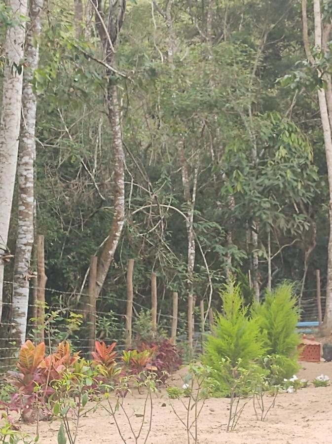 Casa De Campo Banheira, Lareira E Cachoeira Педра-Азул Экстерьер фото